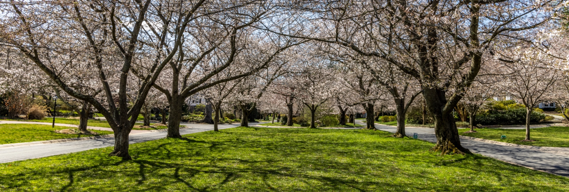 Maryland Bethseda 1920X650