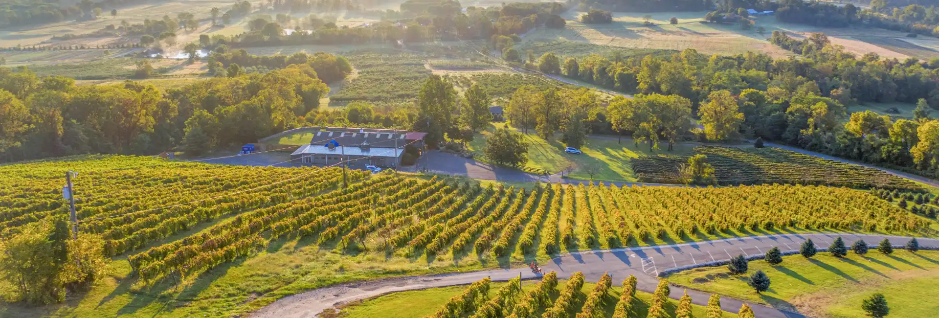 Vineyard In Loudon County Md 1920X650